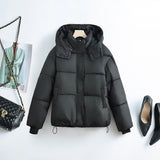Damen kurze Steppjacke mit herausnehmbarem Kragenpolster